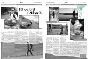 Síða 5
