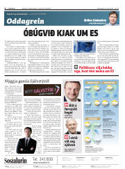 Síða 2