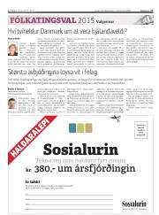 Síða 17
