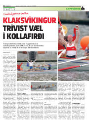 Síða 22