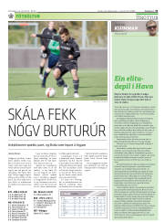Síða 31