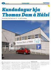 Síða 38