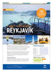 Síða 43