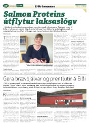Síða 52