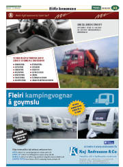 Síða 55