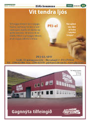 Síða 57