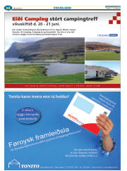 Síða 58