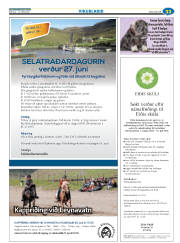 Síða 65