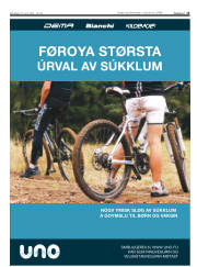 Síða 15