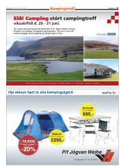 Síða 33