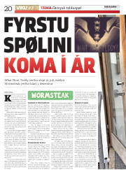 Síða 20