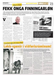 Síða 23