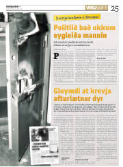 Síða 25