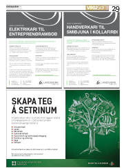 Síða 29