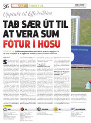 Síða 36