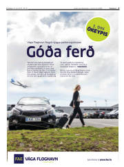 Síða 3
