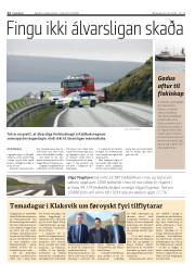 Síða 12