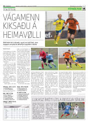 Síða 22