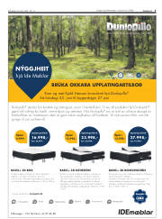 Síða 5