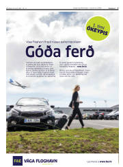 Síða 7