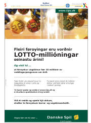 Síða 29