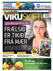 Síða 1
