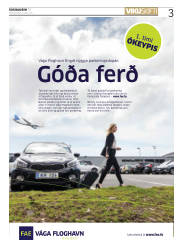 Síða 3