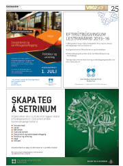 Síða 25