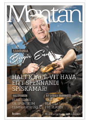 Síða 33