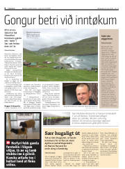 Síða 8