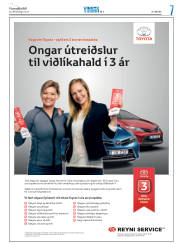 Síða 31