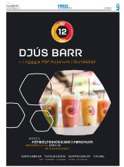 Síða 33