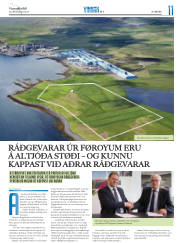 Síða 35