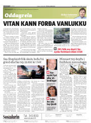 Síða 2