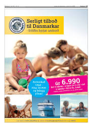 Síða 17