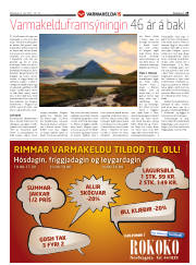 Síða 29
