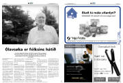 Síða 32