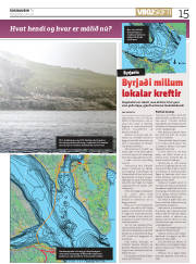 Síða 15