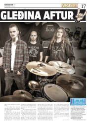 Síða 17
