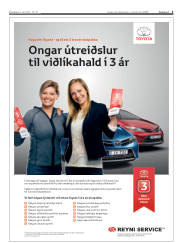 Síða 3