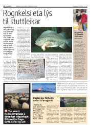 Síða 14