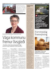 Síða 15
