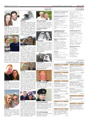 Síða 17