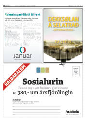 Síða 20