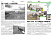 Síða 2