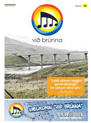 Síða 43