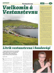 Síða 55