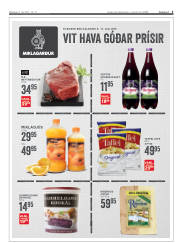 Síða 3