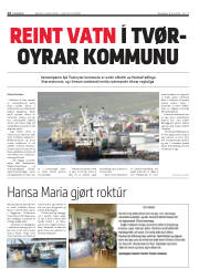 Síða 14