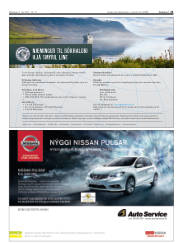 Síða 21
